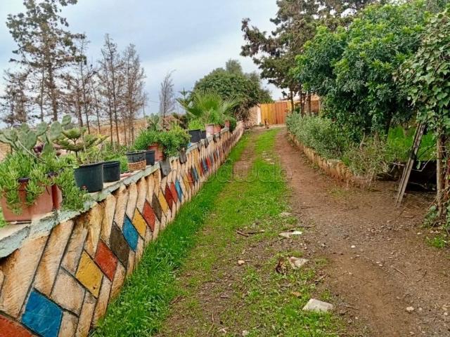 Ferme vente à El Ma, Gharb-Chrarda-Beni Hssen