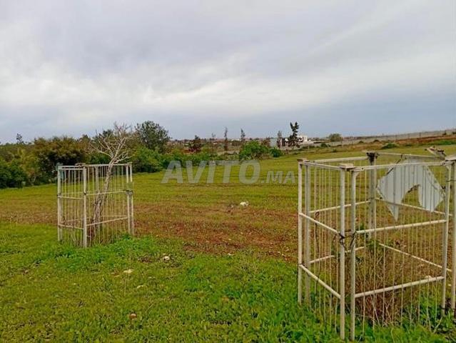 Propriété vente à El Ma, Gharb-Chrarda-Beni Hssen