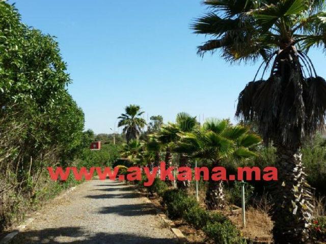 Ferme vente à Slimane, Gharb-Chrarda-Beni Hssen