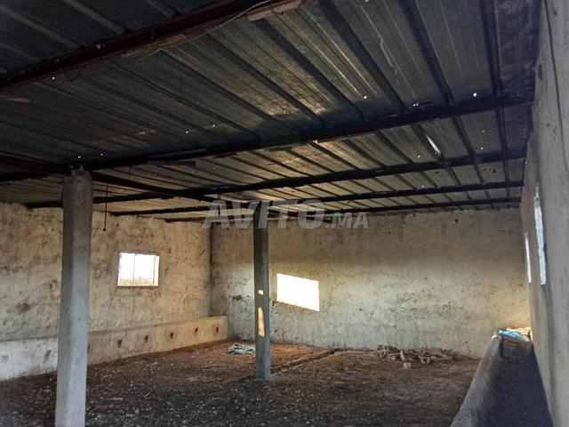 Propriété vente à Ben Slimane