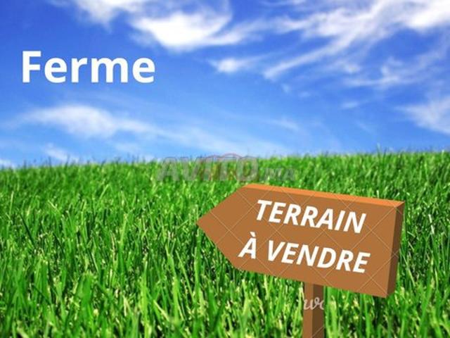 Propriété vente à Settat, Chaouia-Ouardigha