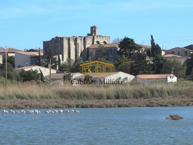 Local Commercial vente à Montpellier, Vic-la-gardiole