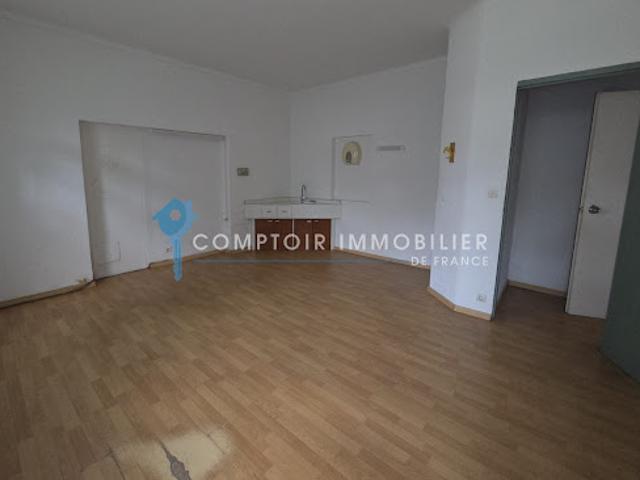Local Commercial vente à Vauvert, Gard