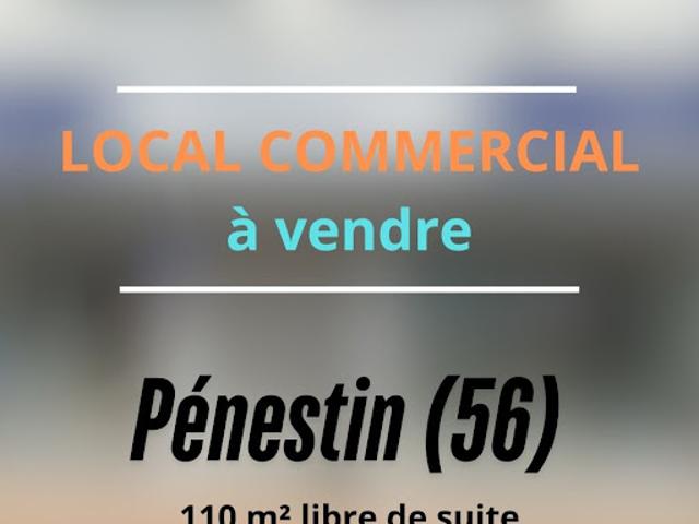 Local Commercial vente à Vannes, Bretagne