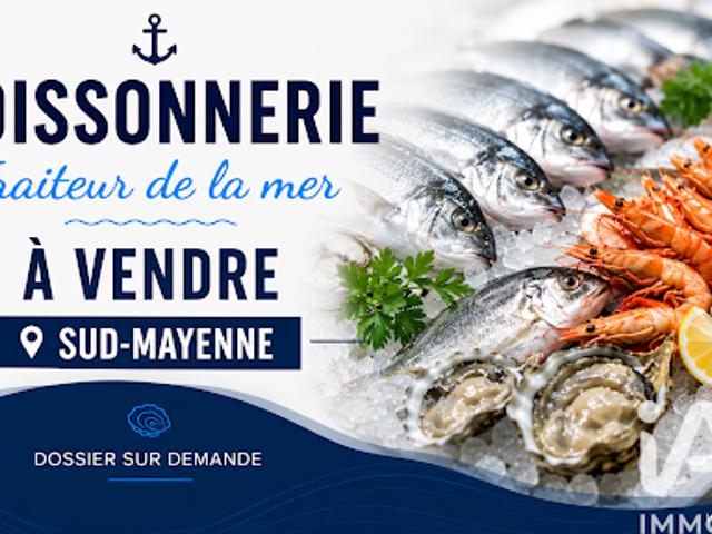 Local Commercial vente à Château-Gontier, Château-gontier