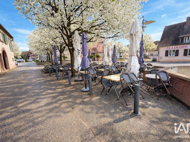 Local Commercial vente à Colmar-Ribeauvillé, Sigolsheim