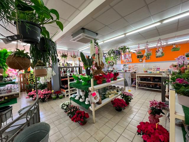 Local Commercial vente à Vierzon
