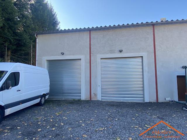 Local Commercial vente à Sainte-Marguerite, Vosges