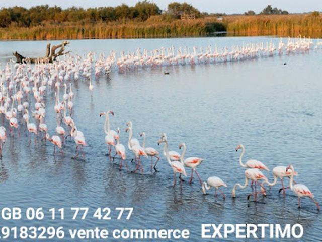 Local Commercial vente à Montpellier, Palavas-les-flots