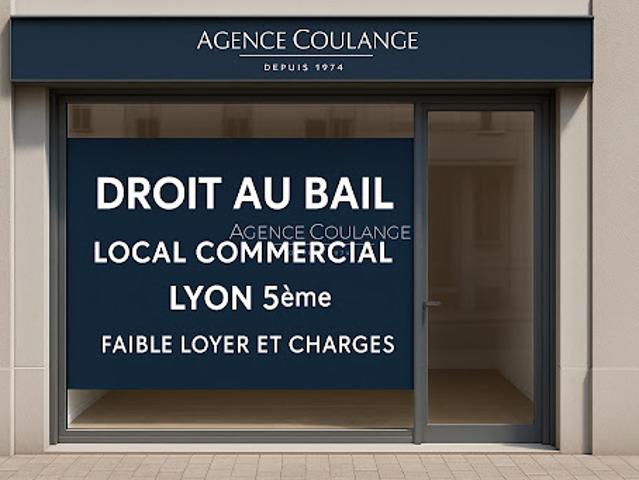 Local Commercial vente à Lyon, Métropole de Lyon