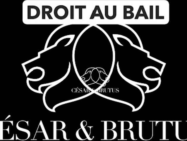 Local Commercial vente à Lyon, Métropole de Lyon