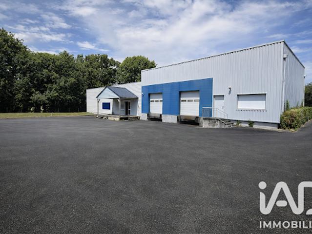 Local Commercial vente à Angers, Chalonnes-sur-loire