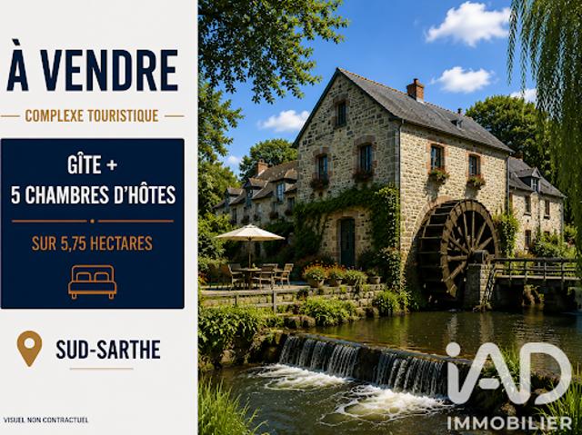 Local Commercial vente à La Flèche, Saint-denis-d'orques