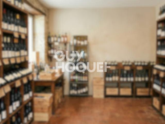 Local Commercial vente à Céret, Saint-cyprien