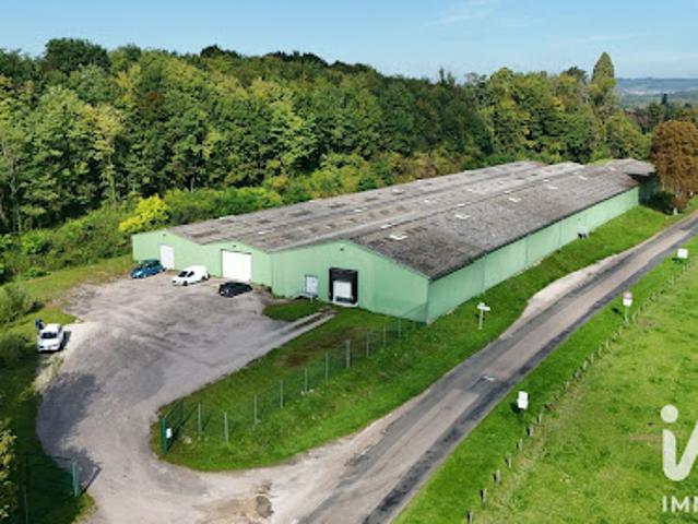 Local Commercial vente à Langres, Bourbonne-les-bains