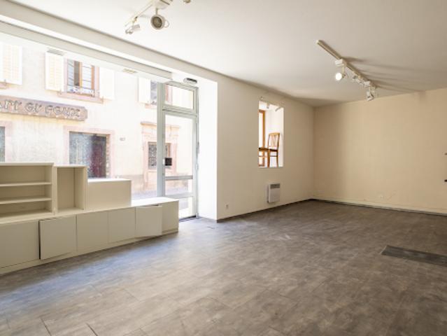 Local Commercial vente à Colmar-Ribeauvillé, Ribeauville