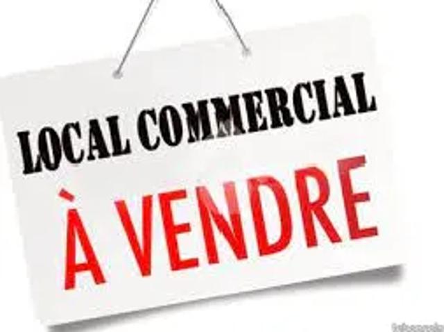Local Commercial vente à Lesparre-Médoc, Labarde