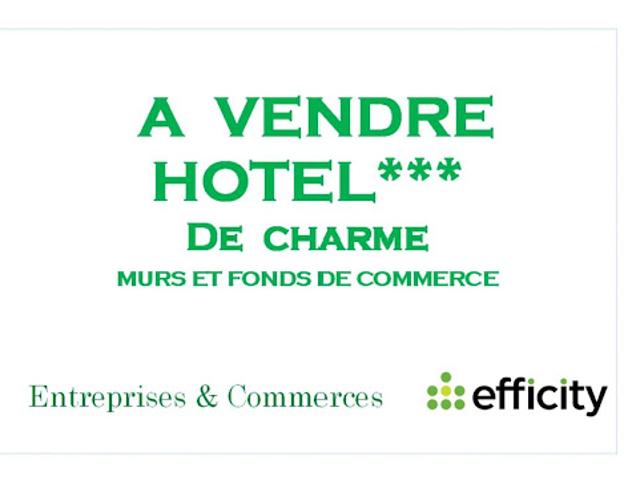 Local Commercial vente à Vienne, Estrablin