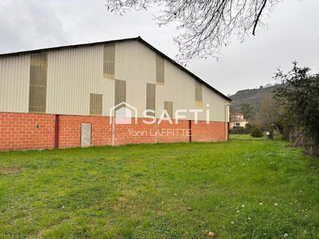 Local Commercial vente à Albi