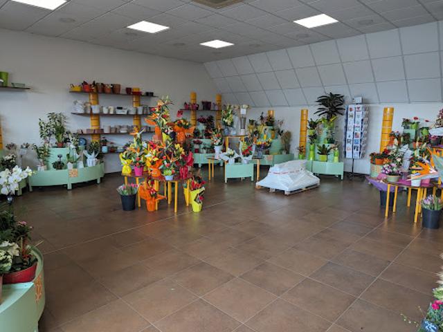 Local Commercial vente à Montargis, Amilly