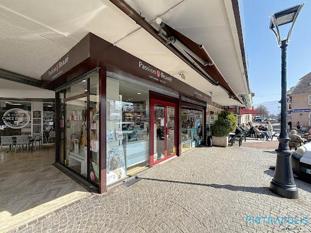 Local Commercial vente à Saint-Julien-en-Genevois, Saint-julien-en-genevois