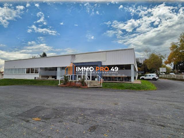 Local Commercial vente à Cholet