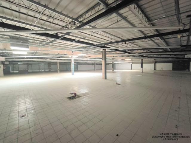 Local Commercial vente à Vierzon, Cher