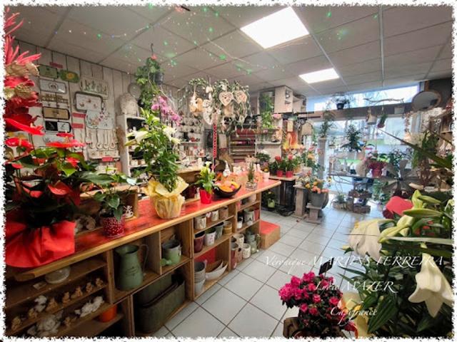 Local Commercial vente à Saint-Amand-Montrond, Nérondes