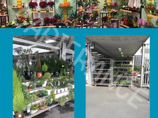 Local Commercial vente à Douai, Montigny-en-ostrevent