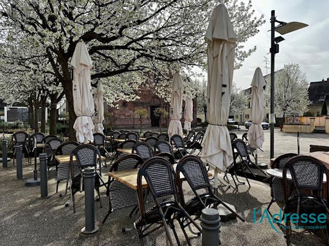 Local Commercial vente à Colmar-Ribeauvillé, Kaysersberg