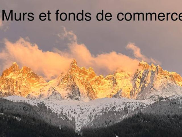 Local Commercial vente à Bonneville, Chamonix-mont-blanc