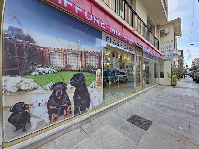 Local Commercial vente à Grasse, Antibes