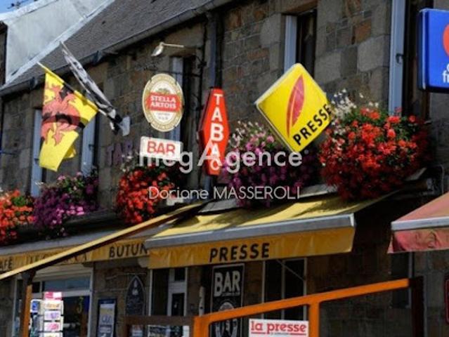 Local Commercial vente à Saint-Nazaire, Savenay
