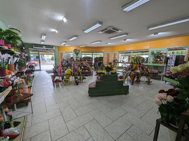 Local Commercial vente à Montargis, Amilly