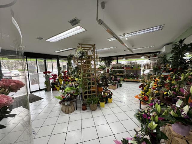 Local Commercial vente à Sens