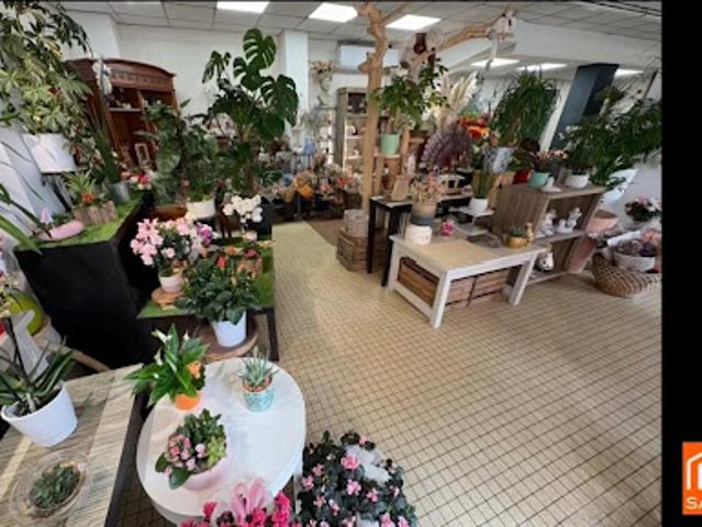 Local Commercial vente à Pau