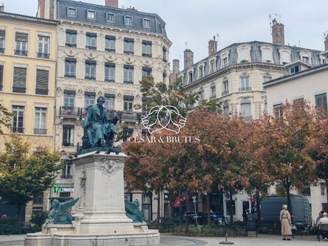 Local Commercial vente à Lyon, Métropole de Lyon
