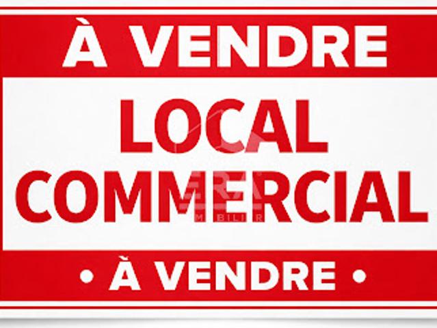 Local Commercial vente à Digne-les-Bains, Château-arnoux-saint-auban