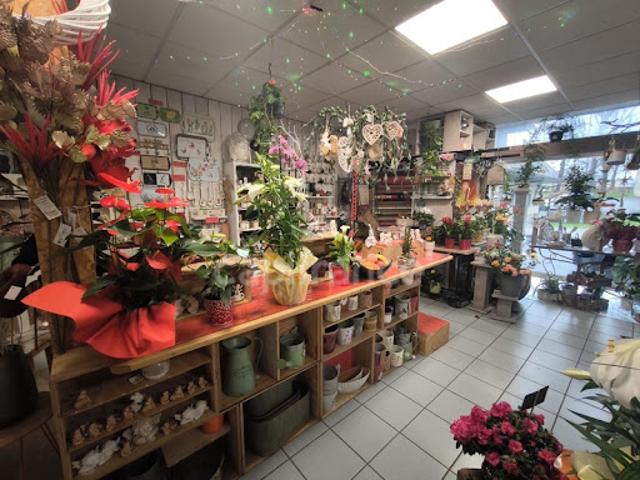 Local Commercial vente à Saint-Amand-Montrond, Nérondes