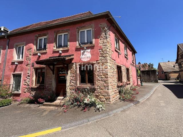 Local Commercial vente à Sélestat-Erstein, Eichhoffen