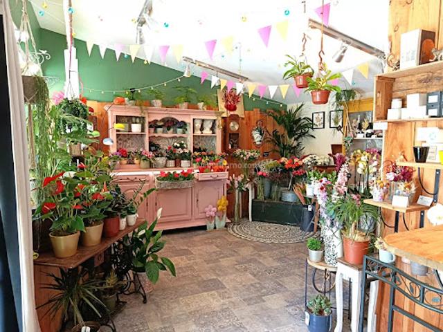 Local Commercial vente à Albi, Cahuzac-sur-vère