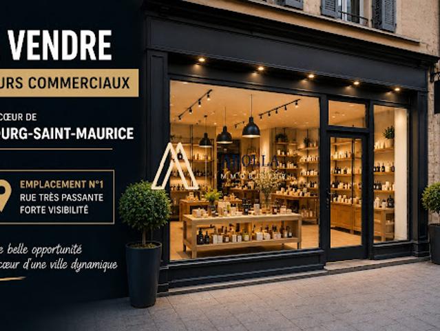 Local Commercial vente à Albertville, Bourg-saint-maurice