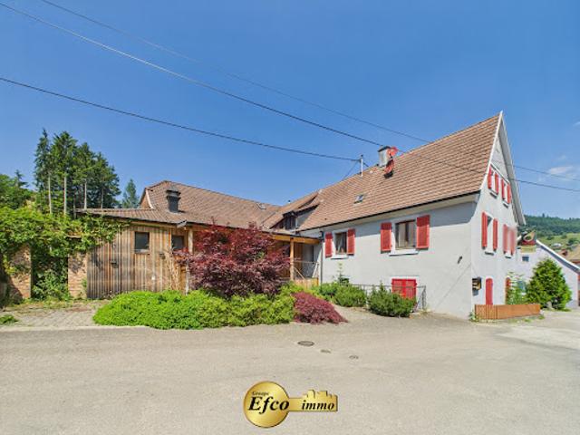 Local Commercial vente à Colmar-Ribeauvillé, Breitenbach-haut-rhin