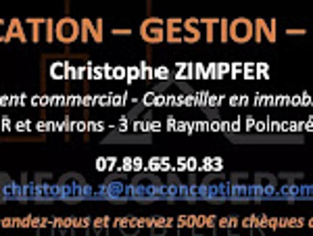 Local Commercial vente à Haguenau-Wissembourg, Bischwiller