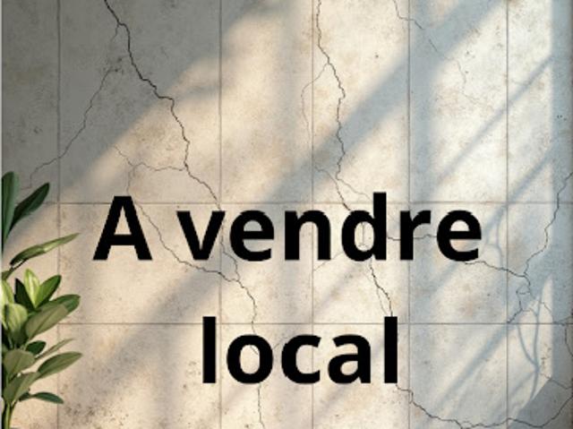 Local Commercial vente à La Roche-sur-Yon, La Roche-sur-yon