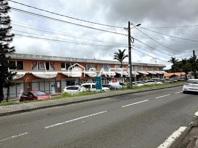 Local Commercial vente à Martinique