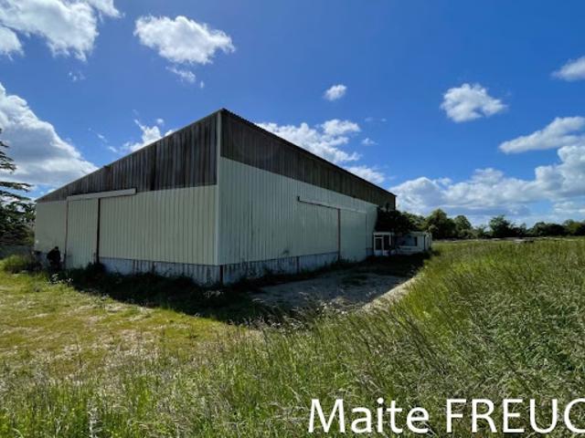 Local Commercial vente à Nérac, La Garenne