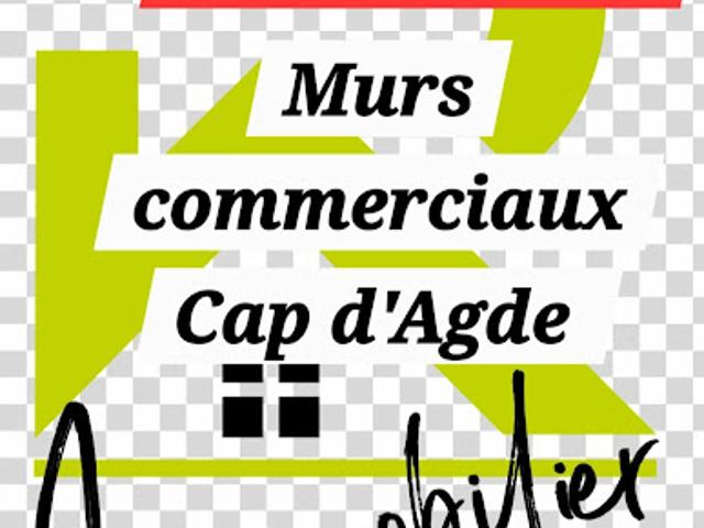 Local Commercial vente à Béziers, Agde