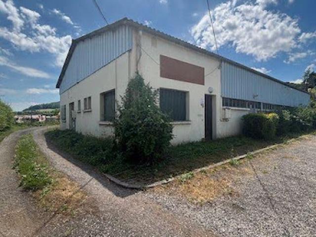 Local Commercial vente à Langres, Rolampont