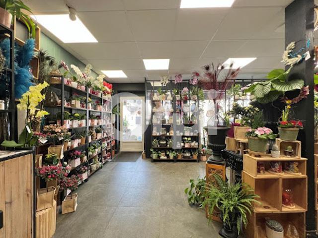 Local Commercial vente à Torcy, Pontault-combault